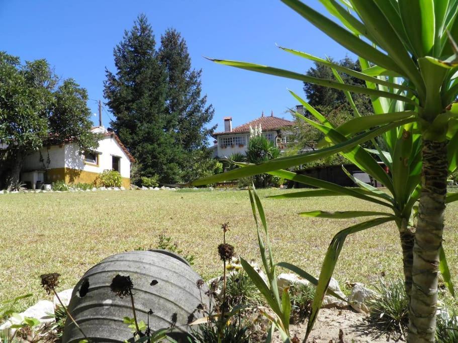 Atlantic Nest Poiares Vila Vila Nova de Poiares Exterior foto